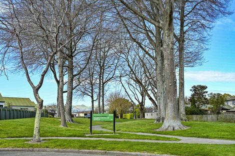 Photo of property in 8 Palmer Place, Parkvale, Hastings, 4122