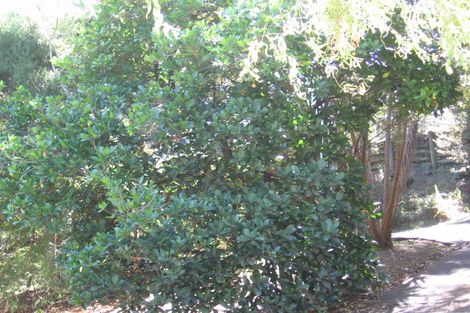 Photo of property in 143a Balmain Road, Birkenhead, Auckland, 0626