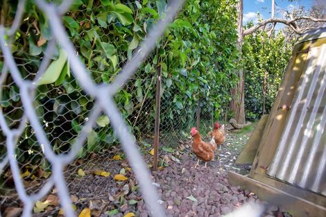 Photo of property in 41 Retreat Road, Haruru, 0204