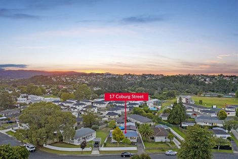 Photo of property in 17 Coburg Street, Henderson, Auckland, 0612