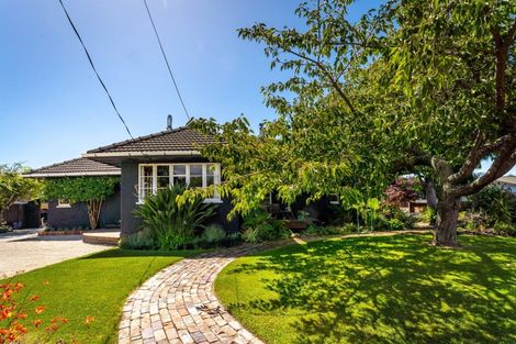 Photo of property in 19 Atkins Street, Motueka, 7120