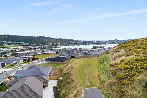 Photo of property in 21 Te Hoiere Street, Aotea, Porirua, 5024