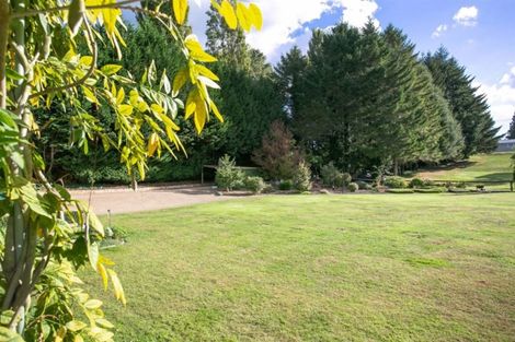 Photo of property in 117 Main Road, Tirau, 3410