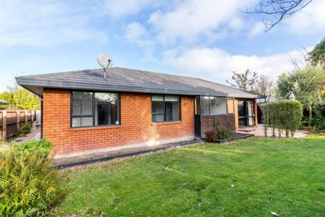Photo of property in 8 Lovelock Street, Dallington, Christchurch, 8061
