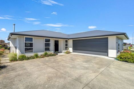Photo of property in 17 Morrell Street, Tawhero, Whanganui, 4501