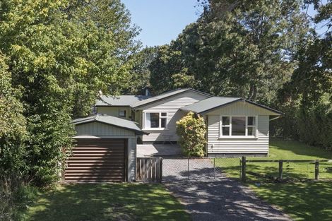 Photo of property in 12 Tekoa Street, Waiau, 7332