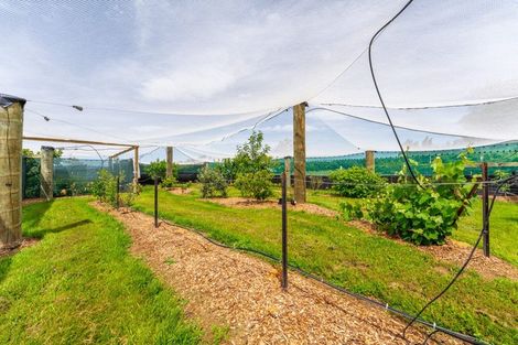 Photo of property in 8 Arowhenua Station Road, Kerrytown, Timaru, 7973