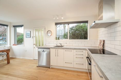 Photo of property in 12 Taine Street, North East Valley, Dunedin, 9010
