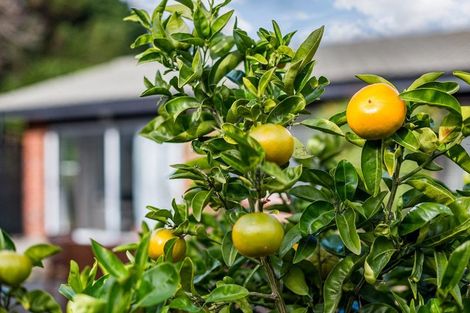 Photo of property in 1001b High Street, Avalon, Lower Hutt, 5011