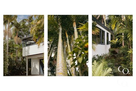 Photo of property in 19 Matawha Way, Brookfield, Tauranga, 3110