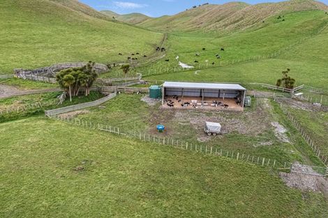 Photo of property in 246 Hopelands Road, Woodville, 4997