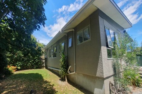 Photo of property in 57 Omapere Street, Dobson, Greymouth, 7805