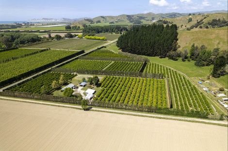 Photo of property in 98 Taurau Valley Road, Manutuke, 4072