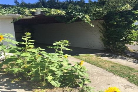 Photo of property in 8 Barratt Street, Blenheim, 7201