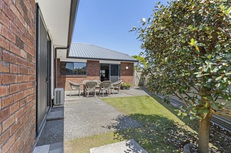 Photo of property in 271a Carrington Street, Vogeltown, New Plymouth, 4310