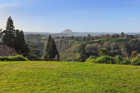Photo of property in 80b Neewood Road, Ohauiti, Tauranga, 3173