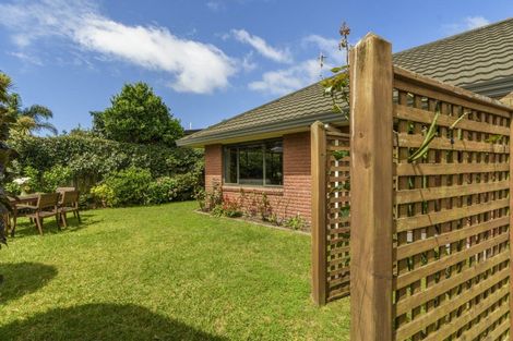 Photo of property in 171c Maungatapu Road, Maungatapu, Tauranga, 3112
