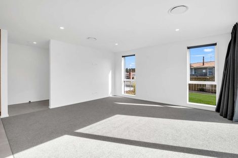 Photo of property in 2 Sudbury Street, Hampstead, Ashburton, 7700