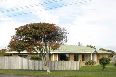 Photo of property in 51 Pembroke Road, Stratford, 4332