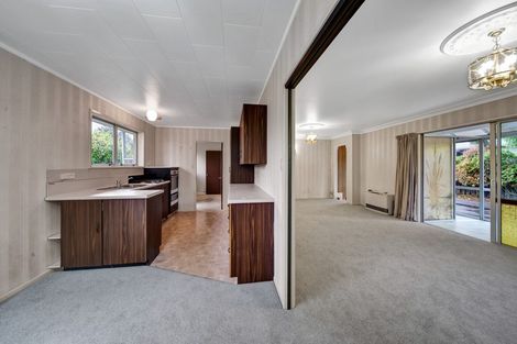 Photo of property in 5 Ulysses Street, Stratford, 4332