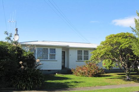 Photo of property in 16 Ferguson Street, Levin, 5510