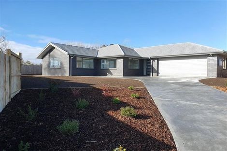 Photo of property in 144 Travers Road, Te Kauwhata, 3710