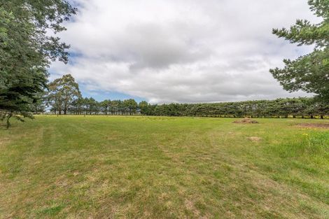 Photo of property in 52 Levels Plain Road, Levels, Timaru, 7975