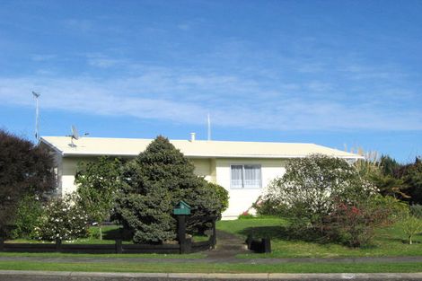 Photo of property in 2 Guy Avenue, Levin, 5510