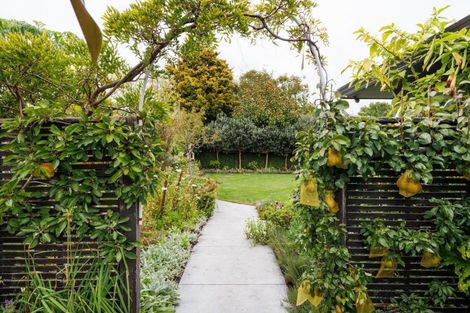 Photo of property in 23 North Street, Palmerston North, 4410