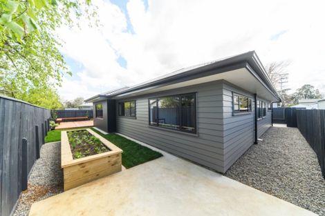 Photo of property in 14a Colombo Street, Hokowhitu, Palmerston North, 4410