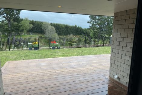 Photo of property in 3 Carriage Close, Omokoroa, 3114