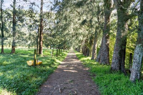 Photo of property in 486 Esdaile Road, Whakamarama, Tauranga, 3180