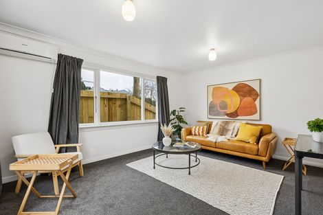 Photo of property in 9 Peter Street, Caversham, Dunedin, 9012