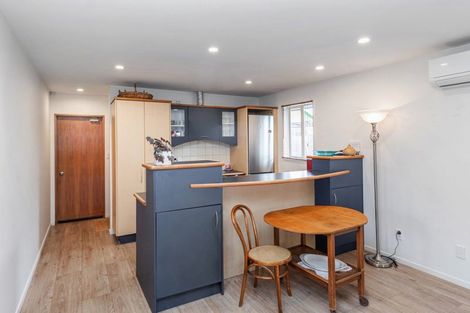 Photo of property in 19b Newcastle Street, Phillipstown, Christchurch, 8011