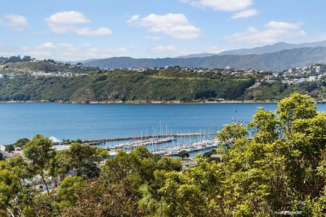 Photo of property in 21 Colville Street, Newtown, Wellington, 6021