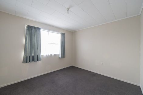 Photo of property in 163 Galloway Street, Hamilton East, Hamilton, 3216