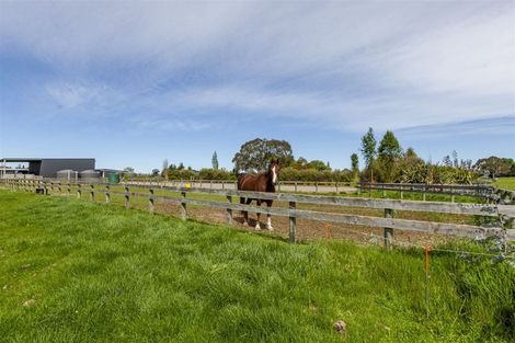 Photo of property in 273 Lindsay Road, Waipukurau, 4283