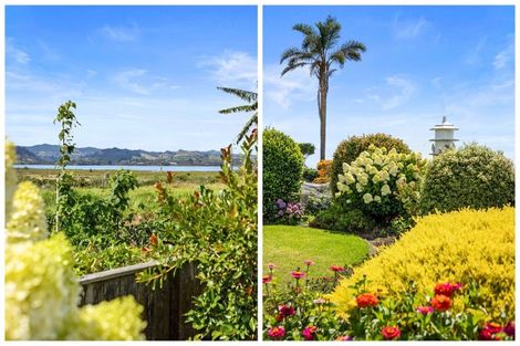 Photo of property in 41 Plateau Heights, Mount Maunganui, 3116