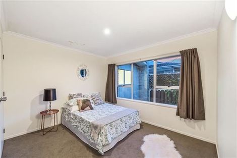 Photo of property in 17 Egmont Street, Chartwell, Hamilton, 3210