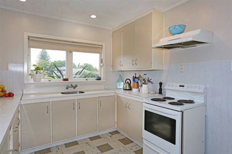 Photo of property in 20 Mason Avenue, Pukekohe, 2120