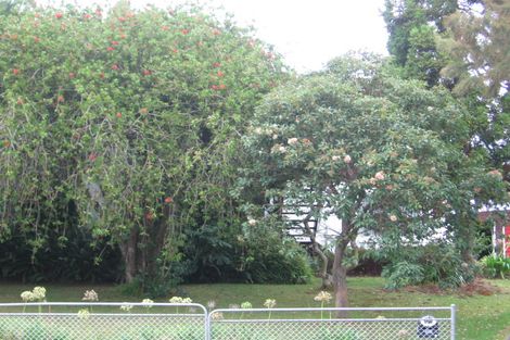 Photo of property in 17 Miltonia Avenue, Te Atatu South, Auckland, 0610