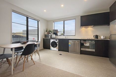 Photo of property in Aniva Terrace, 17 Arney Street, Newtown, Wellington, 6021