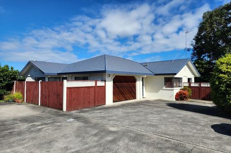 Photo of property in 75a Queen Street West, Levin, 5510