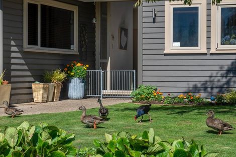Photo of property in 31 Caledonia Road, Ngongotaha, Rotorua, 3010