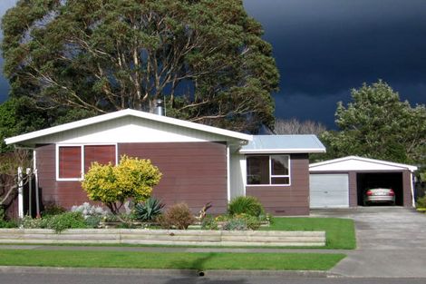 Photo of property in 17 Racecourse Road, Awapuni, Palmerston North, 4412