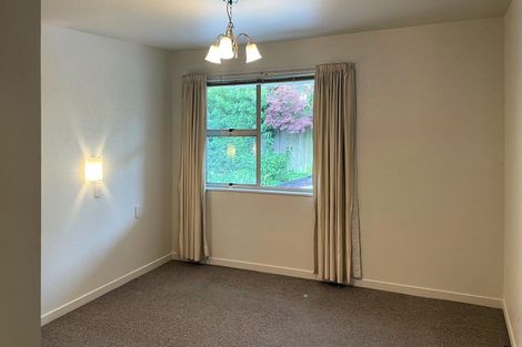 Photo of property in 141 Hills Road, Edgeware, Christchurch, 8013