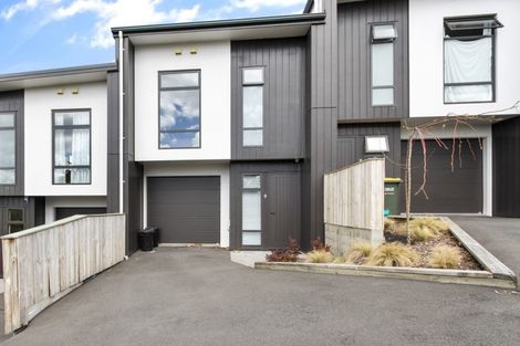 Photo of property in 25u9 Thackeray Street, Hamilton Lake, Hamilton, 3204