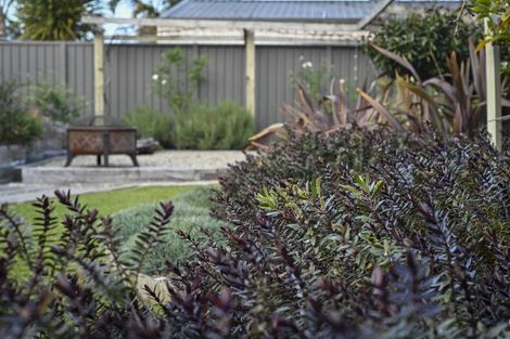 Photo of property in 3 James Cook Street, Havelock North, 4130