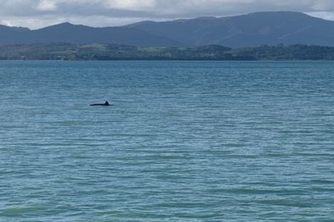 Photo of property in 29 Koutu Point Road, Opononi, Kaikohe, 0473