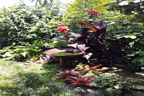 Photo of property in 20 Roseberry Place, Whitianga, 3510